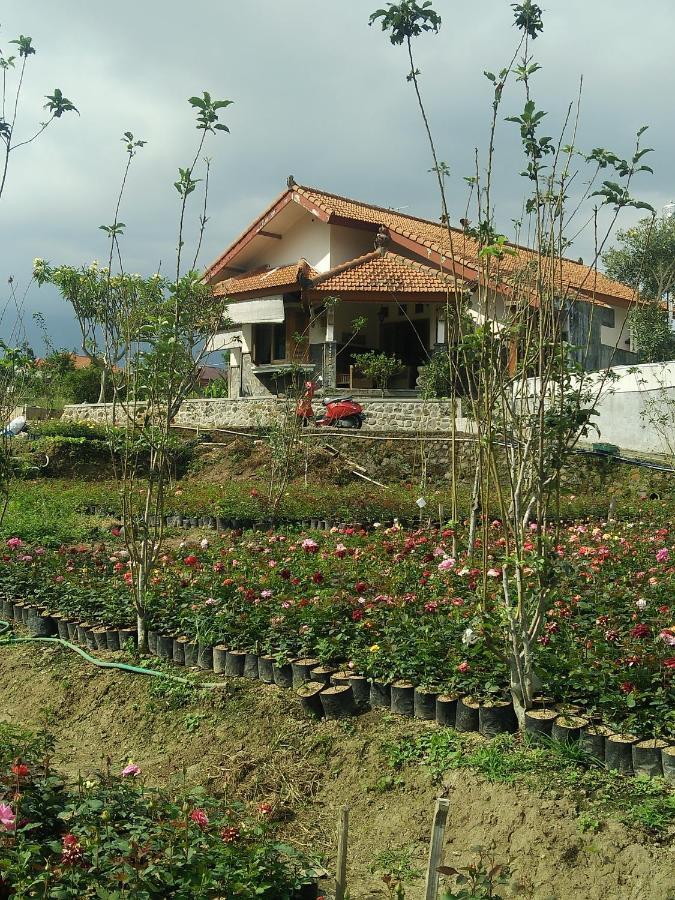 Shanty'S House Batu  Exterior foto