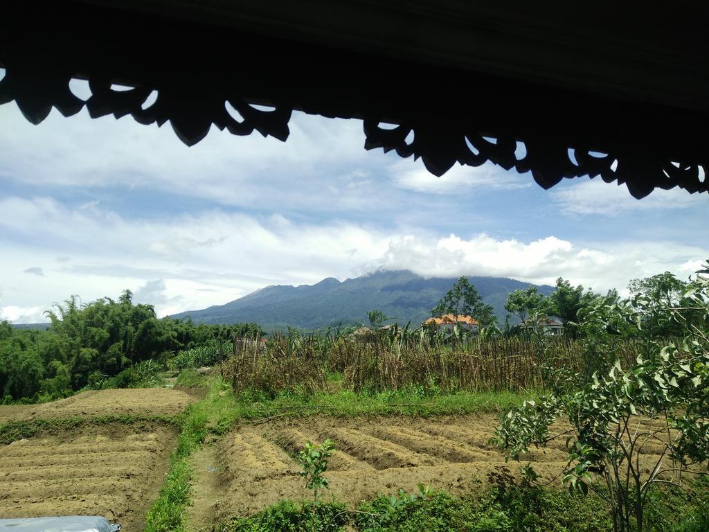 Shanty'S House Batu  Exterior foto